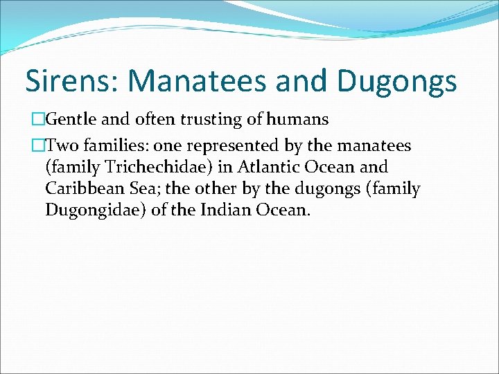 Sirens: Manatees and Dugongs �Gentle and often trusting of humans �Two families: one represented