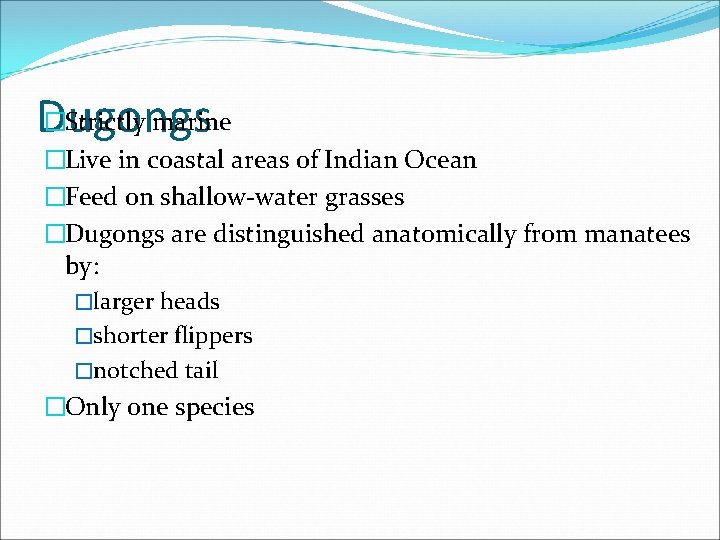 �Strictly marine Dugongs �Live in coastal areas of Indian Ocean �Feed on shallow-water grasses