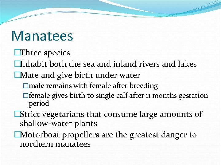 Manatees �Three species �Inhabit both the sea and inland rivers and lakes �Mate and