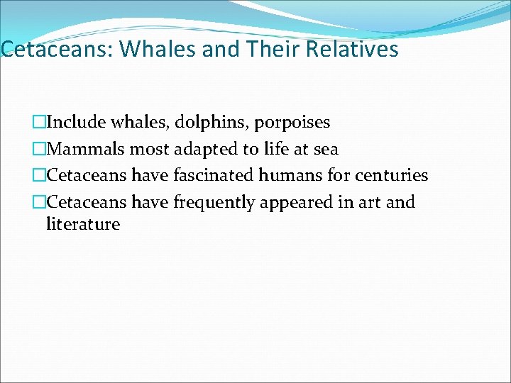 Cetaceans: Whales and Their Relatives �Include whales, dolphins, porpoises �Mammals most adapted to life