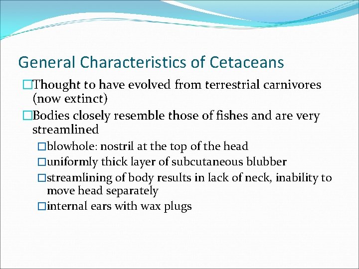 General Characteristics of Cetaceans �Thought to have evolved from terrestrial carnivores (now extinct) �Bodies