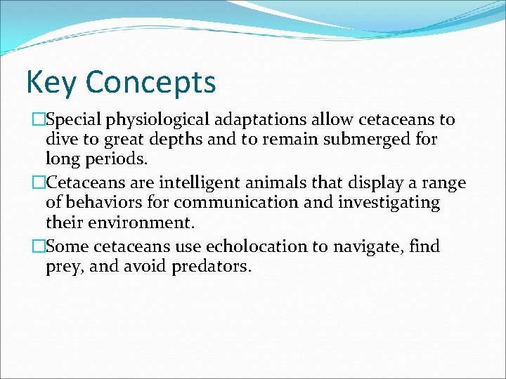 Key Concepts �Special physiological adaptations allow cetaceans to dive to great depths and to