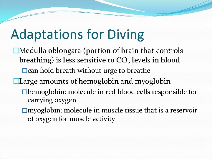 Adaptations for Diving �Medulla oblongata (portion of brain that controls breathing) is less sensitive