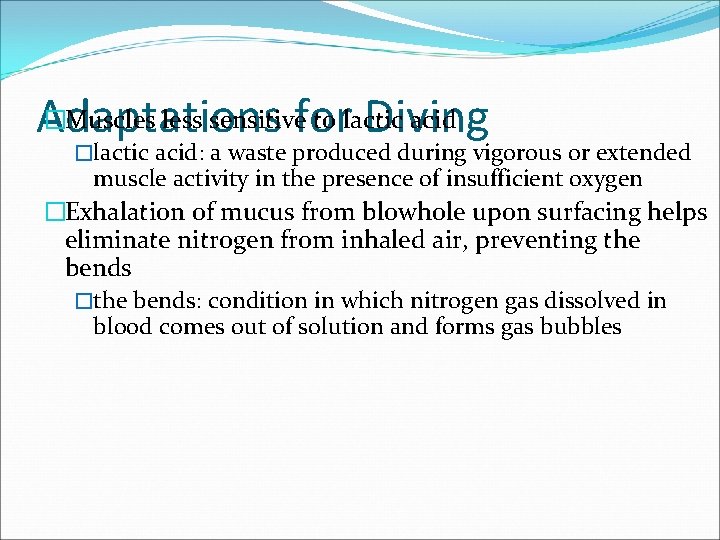 �Muscles less sensitive to lactic acid Adaptations for Diving �lactic acid: a waste produced