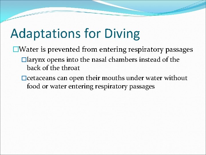 Adaptations for Diving �Water is prevented from entering respiratory passages �larynx opens into the