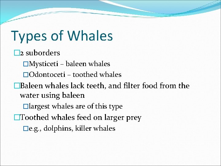 Types of Whales � 2 suborders �Mysticeti – baleen whales �Odontoceti – toothed whales