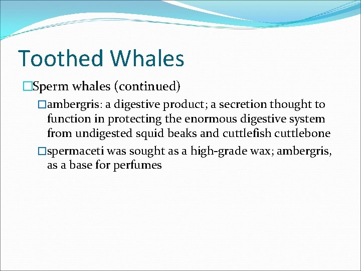 Toothed Whales �Sperm whales (continued) �ambergris: a digestive product; a secretion thought to function