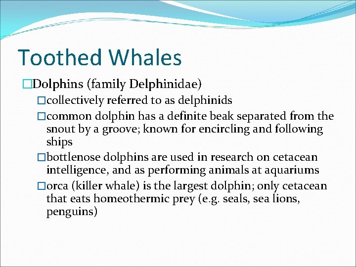 Toothed Whales �Dolphins (family Delphinidae) �collectively referred to as delphinids �common dolphin has a