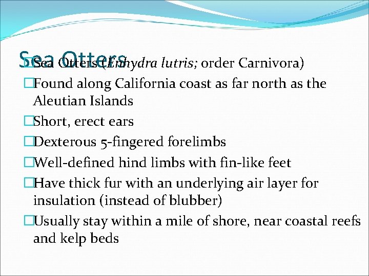 �Sea Otters (Enhydra lutris; order Carnivora) Sea Otters �Found along California coast as far
