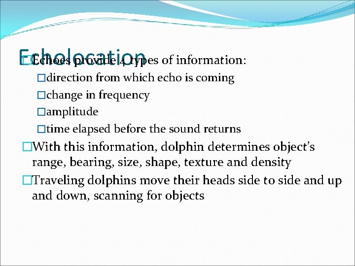 �Echoes provide 4 types of information: Echolocation �direction from which echo is coming �change