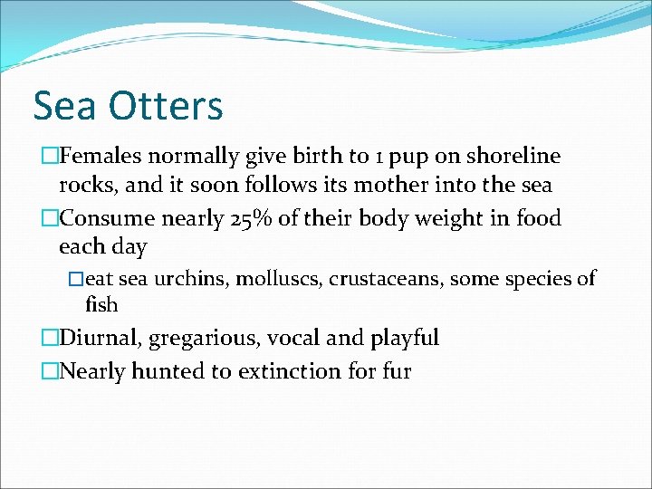 Sea Otters �Females normally give birth to 1 pup on shoreline rocks, and it