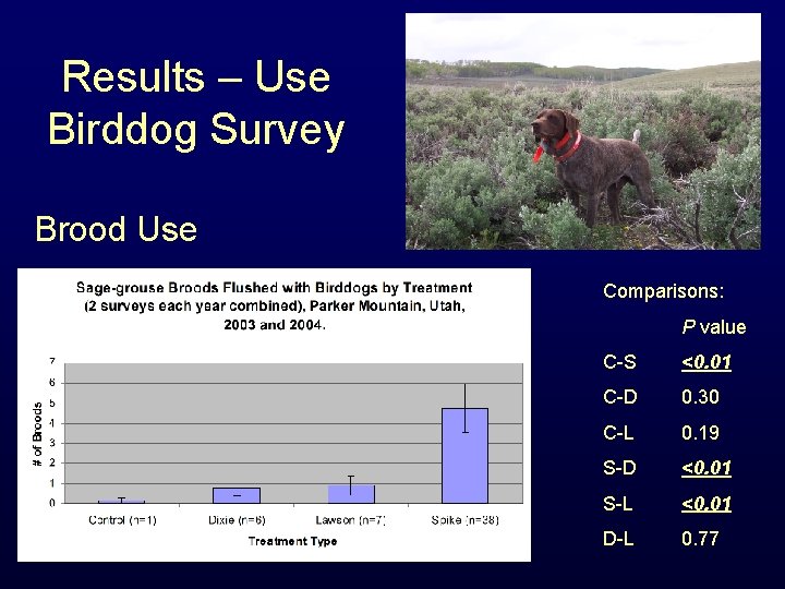 Results – Use Birddog Survey Brood Use Comparisons: P value C-S <0. 01 C-D