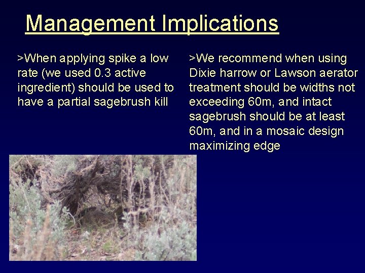 Management Implications >When applying spike a low rate (we used 0. 3 active ingredient)