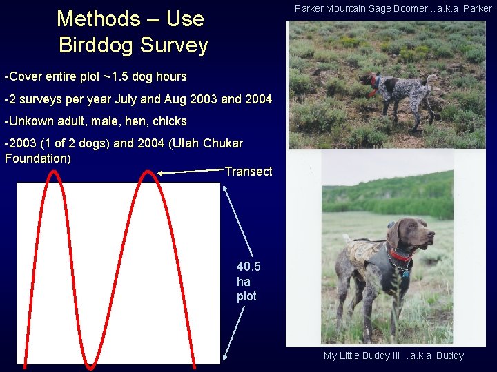 Parker Mountain Sage Boomer…a. k. a. Parker Methods – Use Birddog Survey -Cover entire