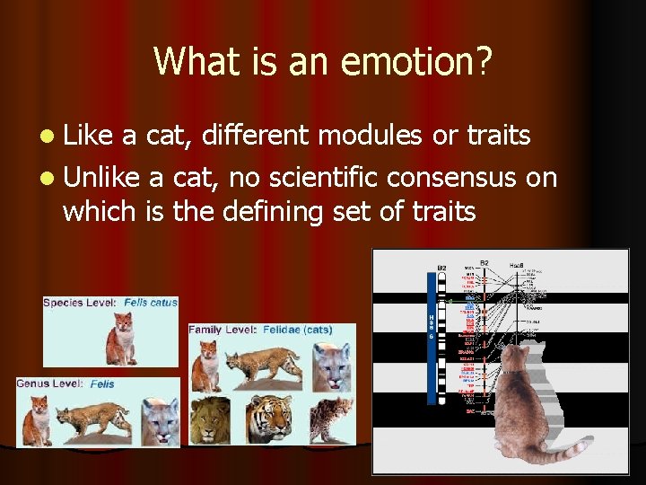 What is an emotion? l Like a cat, different modules or traits l Unlike