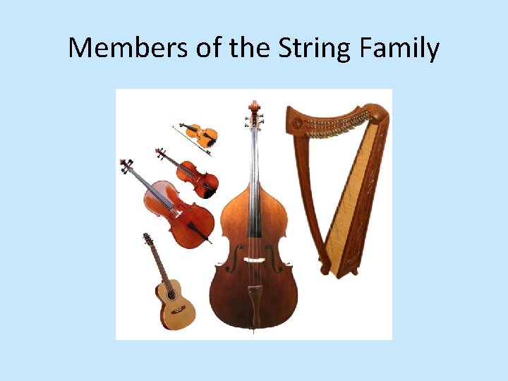 Members of the String Family 