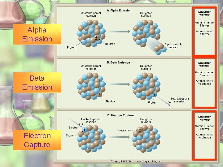 Alpha Emission Beta Emission Electron Capture 