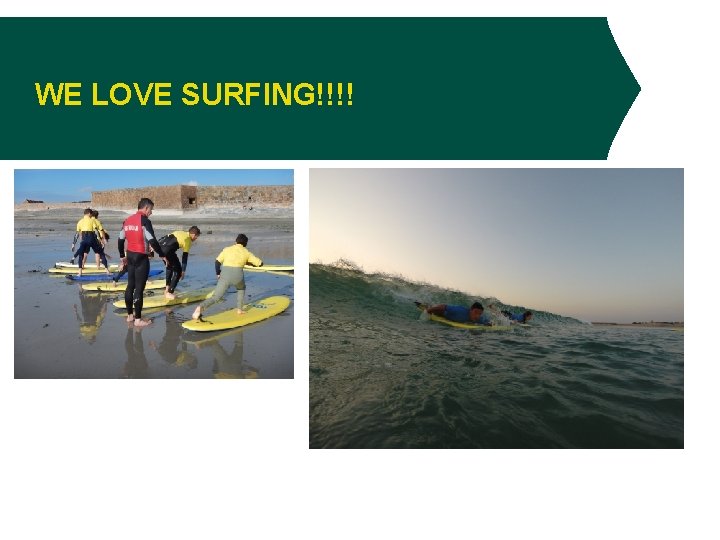 WE LOVE SURFING!!!! 