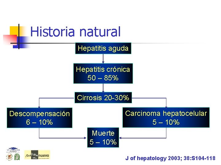 Historia natural Hepatitis aguda Hepatitis crónica 50 – 85% Cirrosis 20 -30% Carcinoma hepatocelular