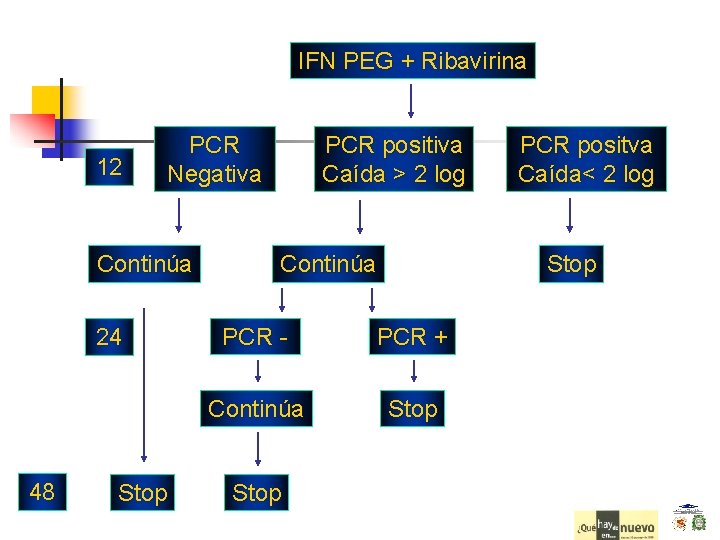 IFN PEG + Ribavirina 12 PCR Negativa Continúa 24 48 Stop PCR positiva Caída