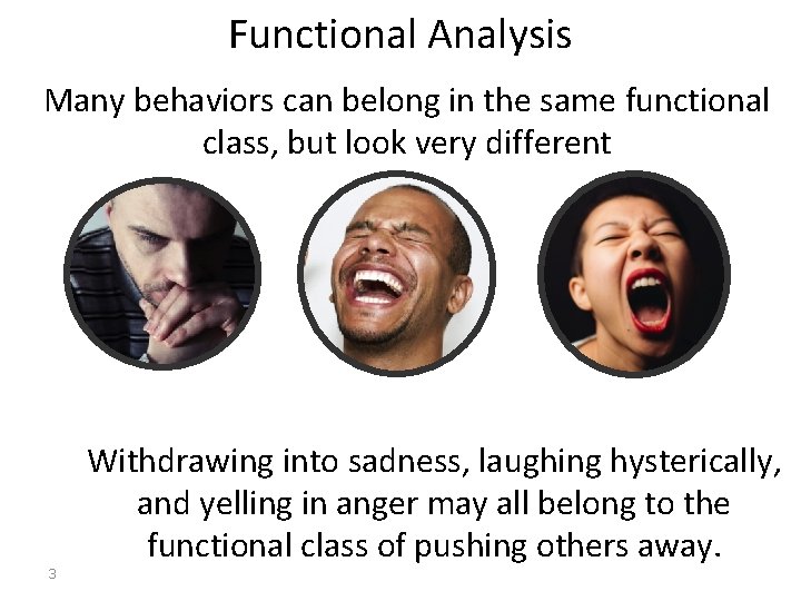 Functional Analysis Many behaviors can belong in the same functional class, but look very