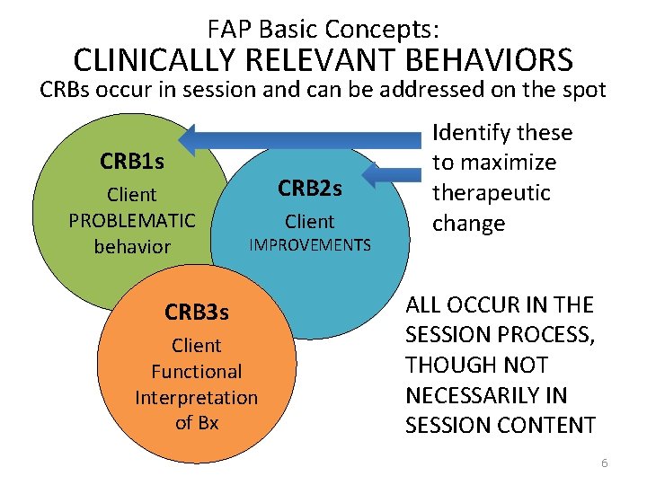 FAP Basic Concepts: CLINICALLY RELEVANT BEHAVIORS CRBs occur in session and can be addressed