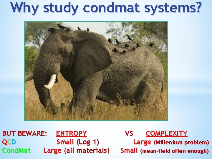 Why study condmat systems? BUT BEWARE: ENTROPY QCD Small (Log 1) Cond. Mat Large