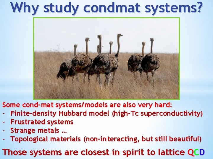 Why study condmat systems? Some cond-mat systems/models are also very hard: - Finite-density Hubbard