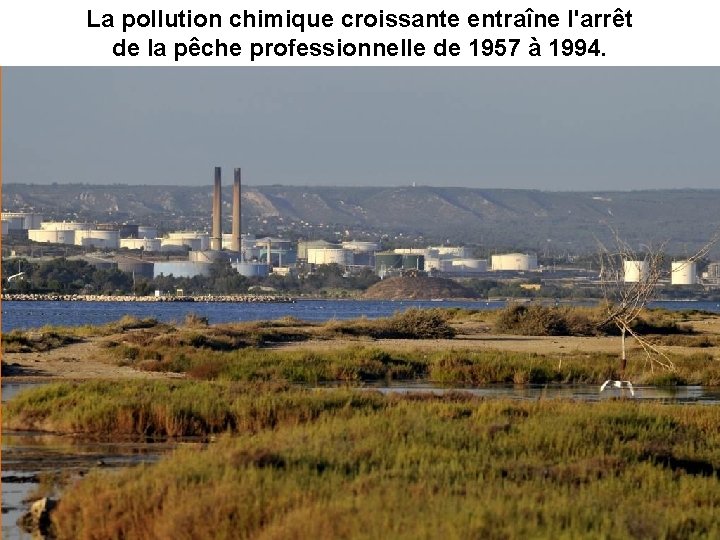 La pollution chimique croissante entraîne l'arrêt de la pêche professionnelle de 1957 à 1994.