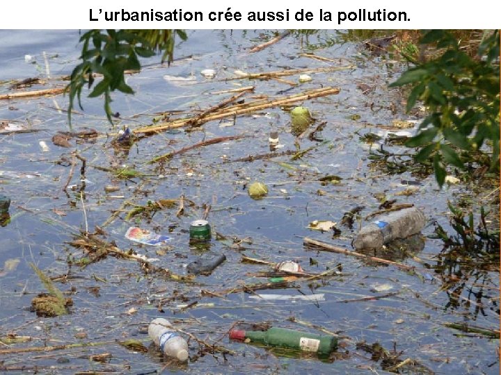 L’urbanisation crée aussi de la pollution. 