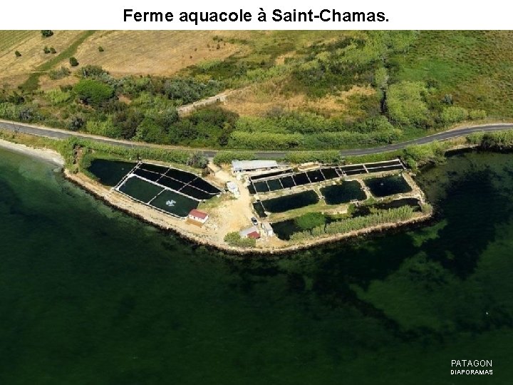 Ferme aquacole à Saint-Chamas. PATAGON DIAPORAMAS 