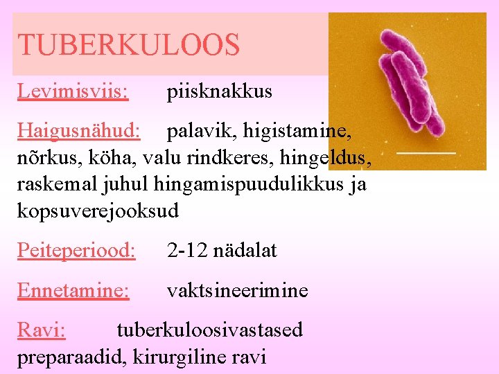 TUBERKULOOS Levimisviis: piisknakkus Haigusnähud: palavik, higistamine, nõrkus, köha, valu rindkeres, hingeldus, raskemal juhul hingamispuudulikkus