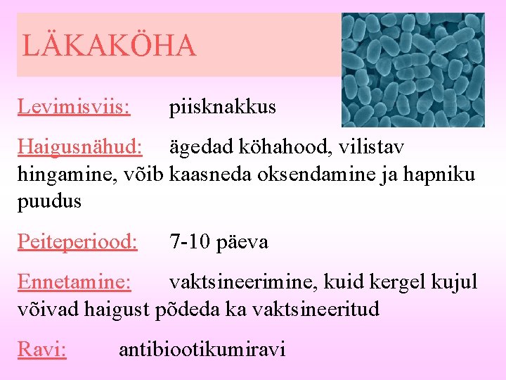 LÄKAKÖHA Levimisviis: piisknakkus Haigusnähud: ägedad köhahood, vilistav hingamine, võib kaasneda oksendamine ja hapniku puudus