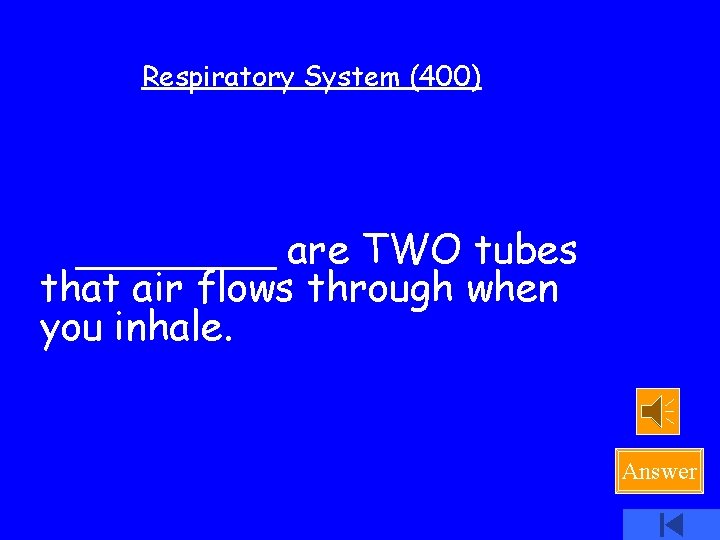 Respiratory System (400) ____ are TWO tubes that air flows through when you inhale.