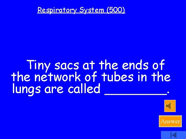 Respiratory System (500) Tiny sacs at the ends of the network of tubes in