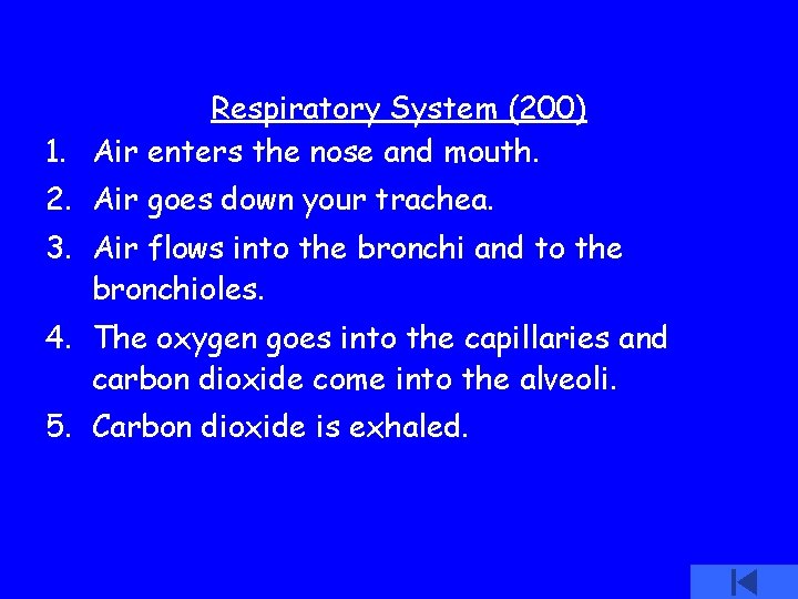 Respiratory System (200) 1. Air enters the nose and mouth. 2. Air goes down