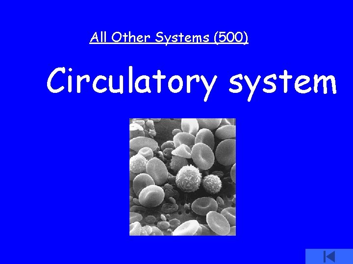 All Other Systems (500) Circulatory system 