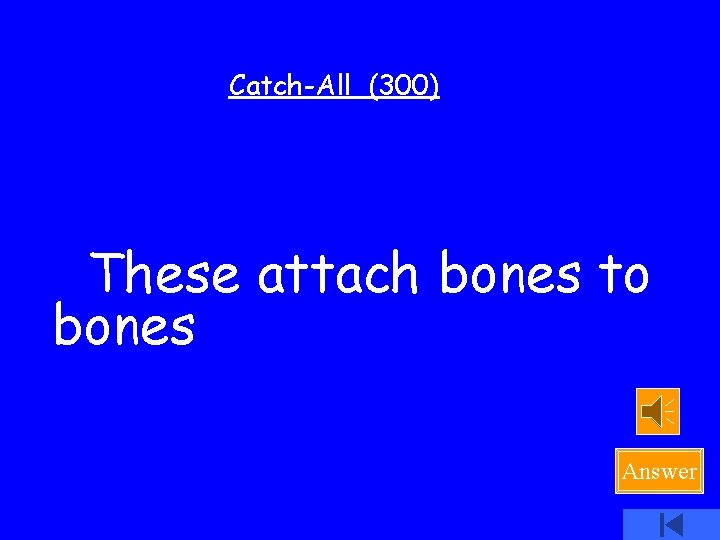 Catch-All (300) These attach bones to bones Answer 