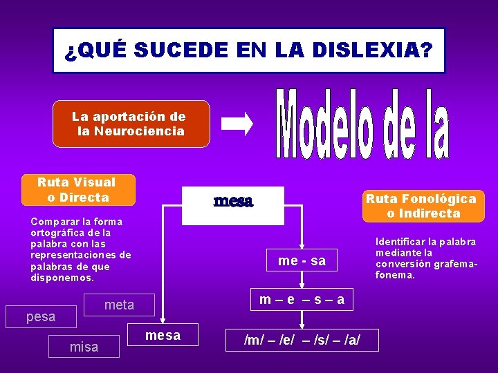 ¿QUÉ SUCEDE EN LA DISLEXIA? La aportación de la Neurociencia Ruta Visual o Directa