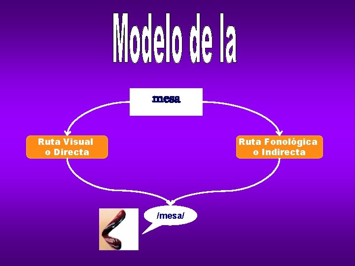 mesa Ruta Visual o Directa Ruta Fonológica o Indirecta /mesa/ 