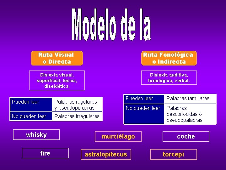 Ruta Visual o Directa Ruta Fonológica o Indirecta Dislexia visual, superficial, léxica, diseidética. Dislexia