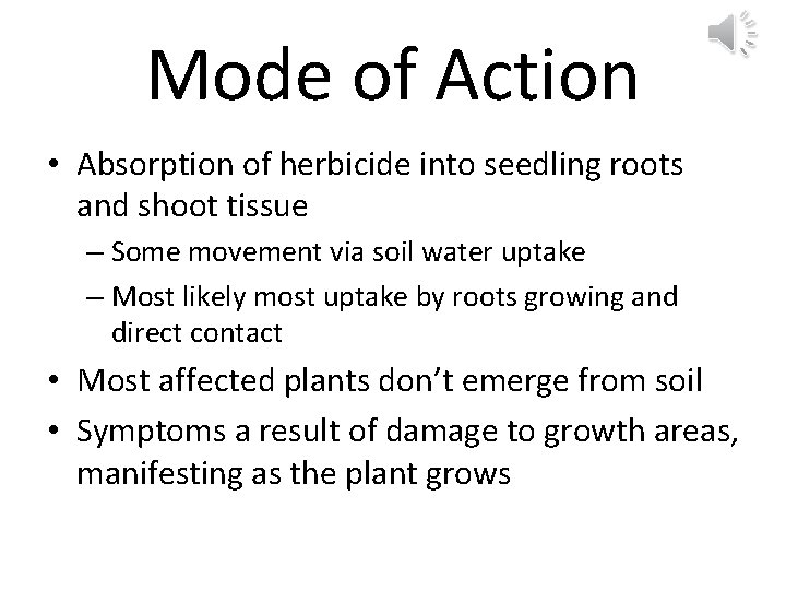 Mode of Action • Absorption of herbicide into seedling roots and shoot tissue –