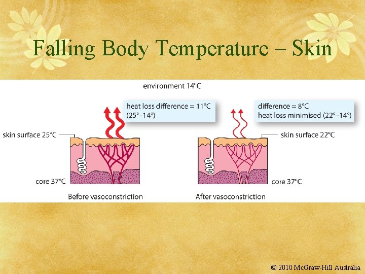 Falling Body Temperature – Skin © 2010 Mc. Graw-Hill Australia 