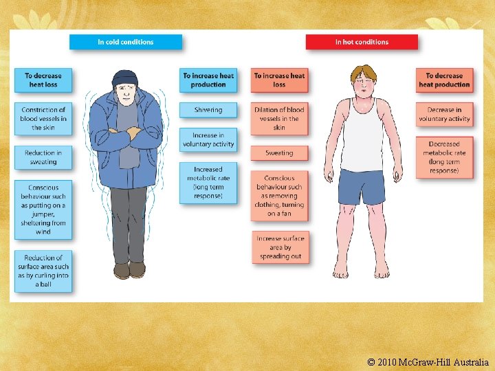 © 2010 Mc. Graw-Hill Australia 