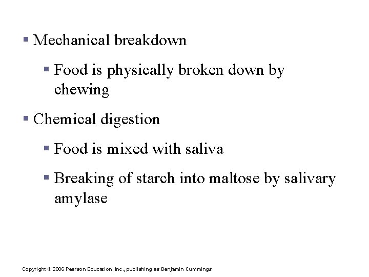 Digestive Activities of the Mouth § Mechanical breakdown § Food is physically broken down