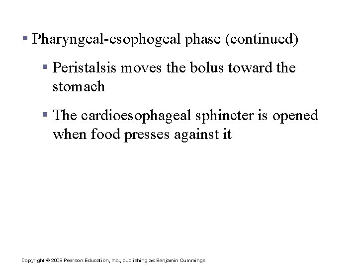 Deglutition (Swallowing) § Pharyngeal-esophogeal phase (continued) § Peristalsis moves the bolus toward the stomach