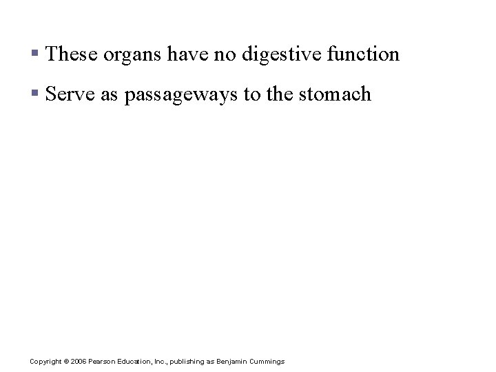 Activities of the Pharynx and Esophagus § These organs have no digestive function §