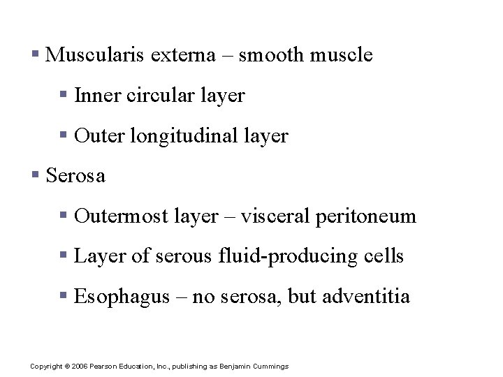 Layers of Alimentary Canal Organs § Muscularis externa – smooth muscle § Inner circular