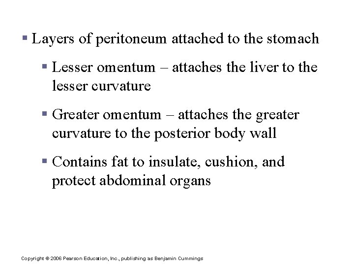 Stomach Anatomy § Layers of peritoneum attached to the stomach § Lesser omentum –