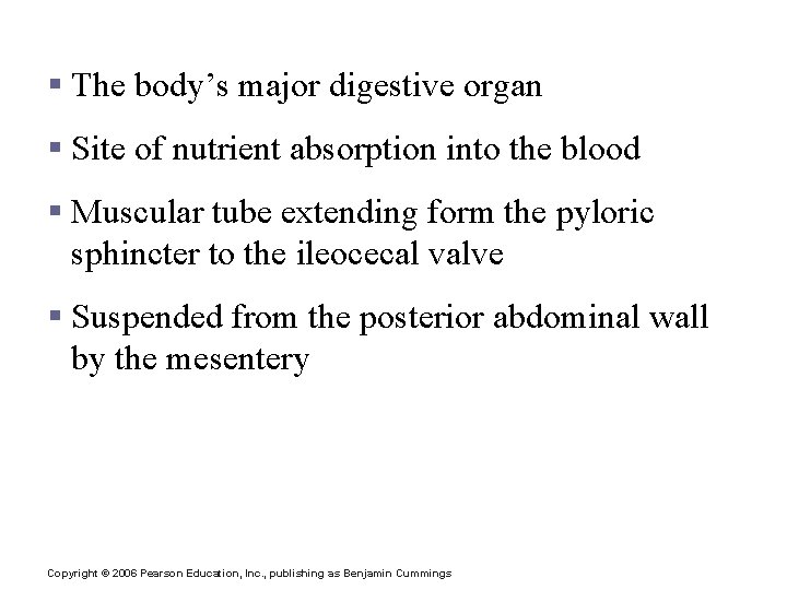 Small Intestine § The body’s major digestive organ § Site of nutrient absorption into